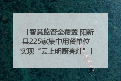 智慧监管全覆盖 阳新县225家集中用餐单位实现“云上明厨亮灶”