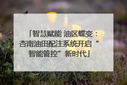 智慧赋能 油区蝶变：杏南油田配注系统开启“智能管控”新时代