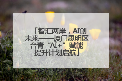 智汇两岸，AI创未来——厦门思明区台青“AI+”赋能提升计划启航