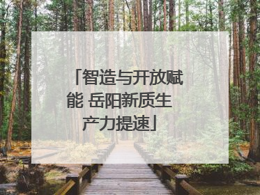 智造与开放赋能 岳阳新质生产力提速