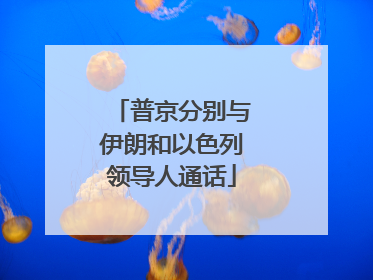 普京分别与伊朗和以色列领导人通话