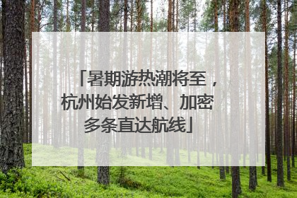 暑期游热潮将至，杭州始发新增、加密多条直达航线