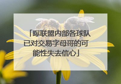 曝联盟内部各球队已对交易字母哥的可能性失去信心