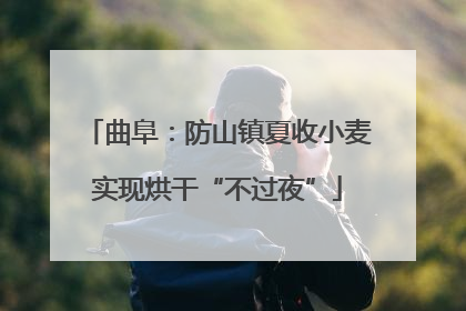 曲阜：防山镇夏收小麦实现烘干“不过夜”