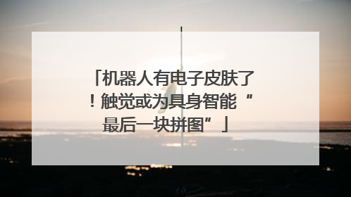 机器人有电子皮肤了！触觉或为具身智能“最后一块拼图”