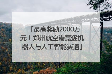 最高奖励2000万元！郑州航空港竞逐机器人与人工智能赛道