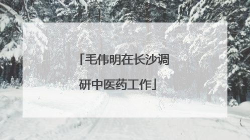 毛伟明在长沙调研中医药工作