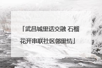 武昌城里话交融 石榴花开串联社区邻里情