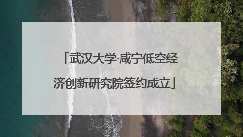 武汉大学·咸宁低空经济创新研究院签约成立