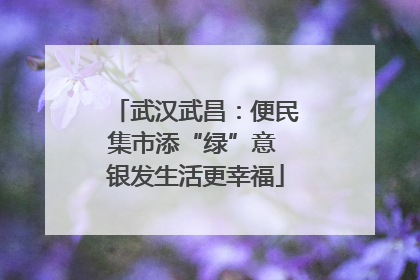 武汉武昌：便民集市添“绿”意 银发生活更幸福