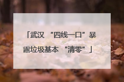 武汉 “四线一口”暴露垃圾基本 “清零”