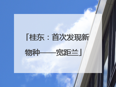 桂东：首次发现新物种——宽距兰