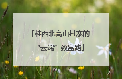 桂西北高山村寨的“云端”致富路