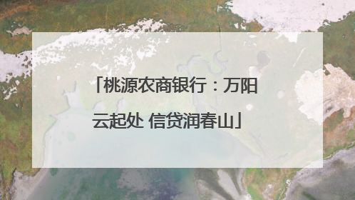 桃源农商银行：万阳云起处 信贷润春山