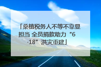 桑植税务人不等不靠显担当 全员捐款助力“6·18”洪灾重建
