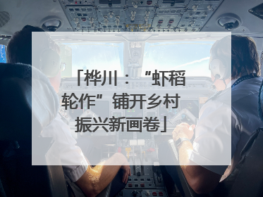 桦川：“虾稻轮作”铺开乡村振兴新画卷