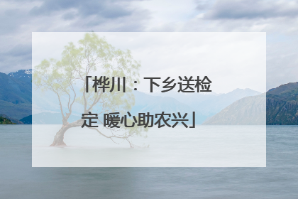 桦川：下乡送检定 暖心助农兴
