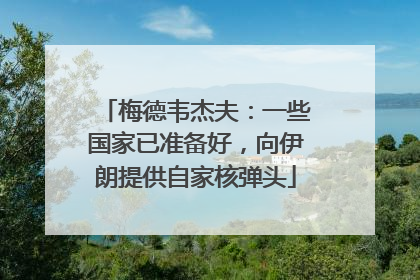 梅德韦杰夫：一些国家已准备好，向伊朗提供自家核弹头