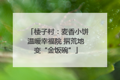 楼子村：麦香小饼温暖幸福院 撂荒地变“金饭碗”