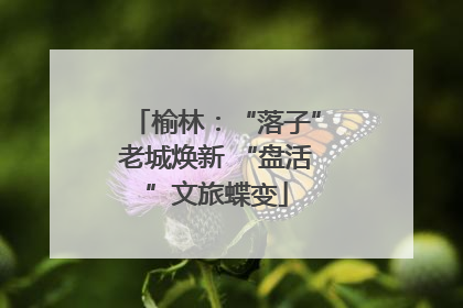 榆林：“落子”老城焕新 “盘活”文旅蝶变