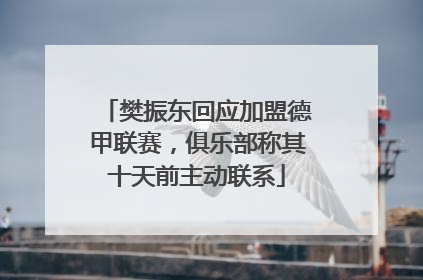 樊振东回应加盟德甲联赛，俱乐部称其十天前主动联系