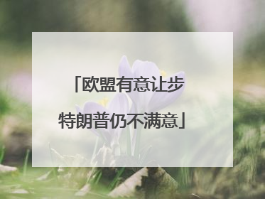 欧盟有意让步 特朗普仍不满意