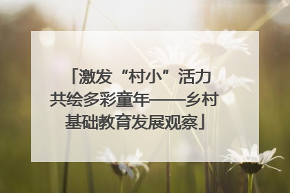 激发“村小”活力 共绘多彩童年——乡村基础教育发展观察