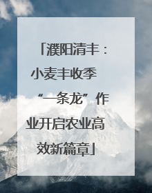 濮阳清丰：小麦丰收季 “一条龙”作业开启农业高效新篇章