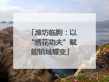 潍坊临朐：以“绣花功夫”赋能镇域蝶变