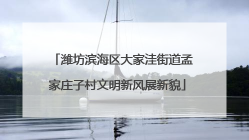 潍坊滨海区大家洼街道孟家庄子村文明新风展新貌
