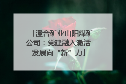 澄合矿业山阳煤矿公司：党建融入激活发展向“新”力