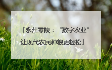 永州零陵：“数字农业”让现代农民种粮更轻松