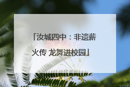 汝城四中：非遗薪火传 龙舞进校园