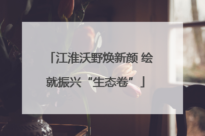 江淮沃野焕新颜 绘就振兴“生态卷”