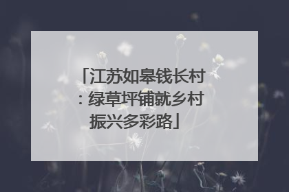江苏如皋钱长村：绿草坪铺就乡村振兴多彩路