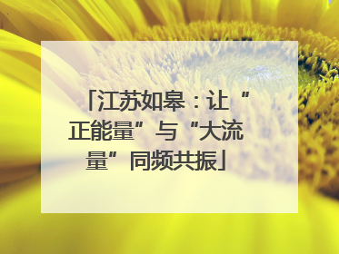 江苏如皋：让“正能量”与“大流量”同频共振