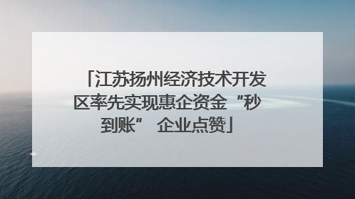 江苏扬州经济技术开发区率先实现惠企资金“秒到账” 企业点赞