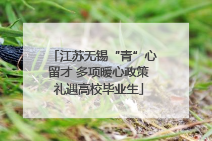 江苏无锡“青”心留才 多项暖心政策礼遇高校毕业生