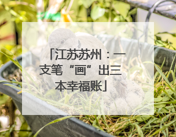 江苏苏州：一支笔“画”出三本幸福账