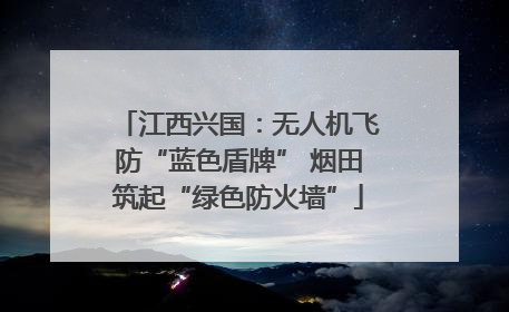 江西兴国：无人机飞防“蓝色盾牌” 烟田筑起“绿色防火墙”
