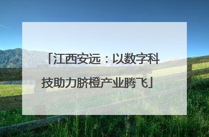 江西安远：以数字科技助力脐橙产业腾飞
