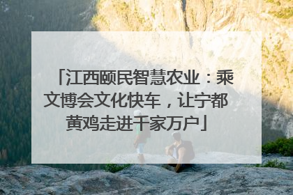 江西颐民智慧农业：乘文博会文化快车，让宁都黄鸡走进千家万户
