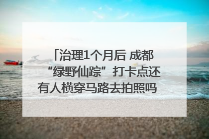 治理1个月后 成都“绿野仙踪”打卡点还有人横穿马路去拍照吗？｜民情瞭望