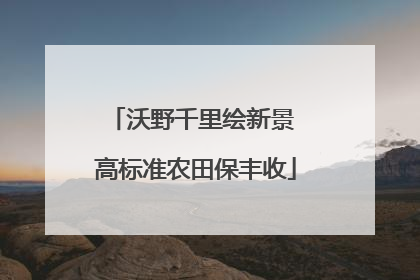 沃野千里绘新景 高标准农田保丰收