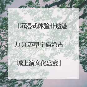 沉浸式体验非遗魅力 江苏阜宁庙湾古城上演文化盛宴