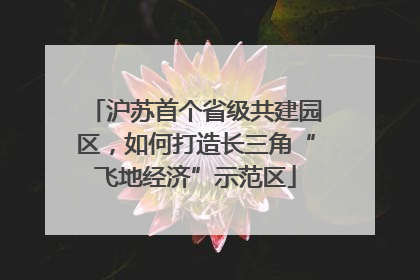 沪苏首个省级共建园区，如何打造长三角“飞地经济”示范区