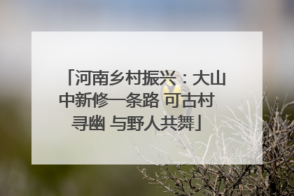 河南乡村振兴：大山中新修一条路 可古村寻幽 与野人共舞