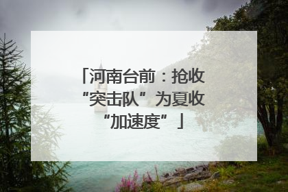 河南台前：抢收“突击队”为夏收“加速度”