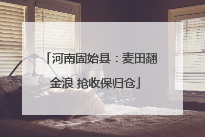 河南固始县：麦田翻金浪 抢收保归仓