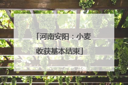河南安阳：小麦收获基本结束
